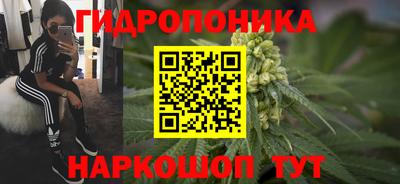 a pvp Канаш