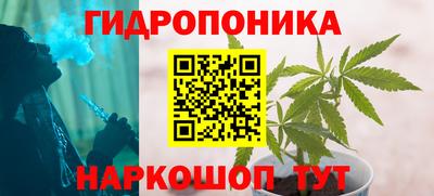 дмт Кандалакша