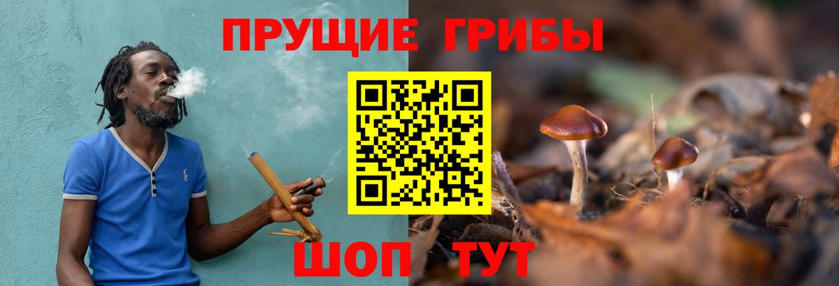 Красноярск  Галлюциногенные грибы ЛСД  Вход с VPN 